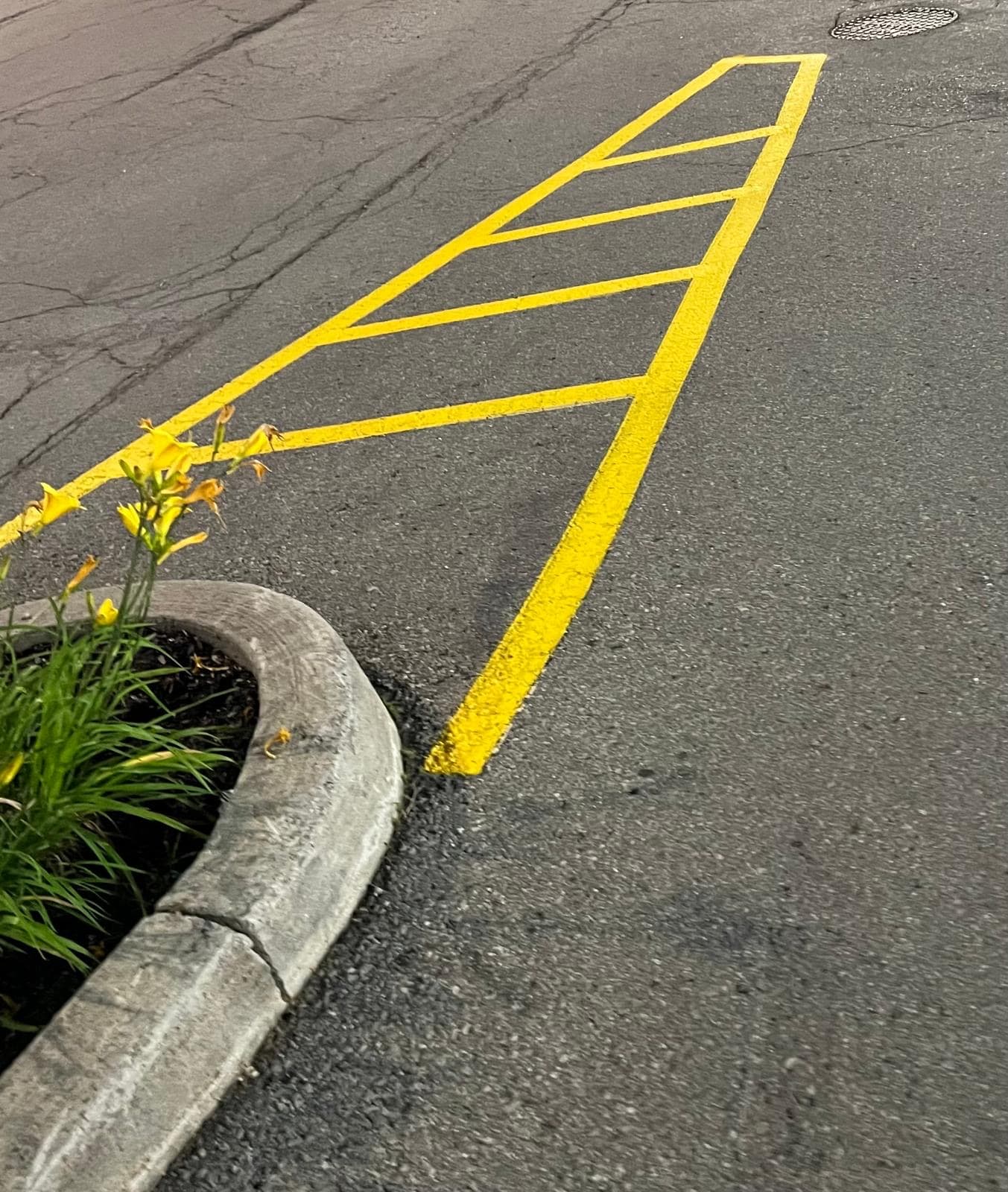 No Parking & Fire Route Line Marking